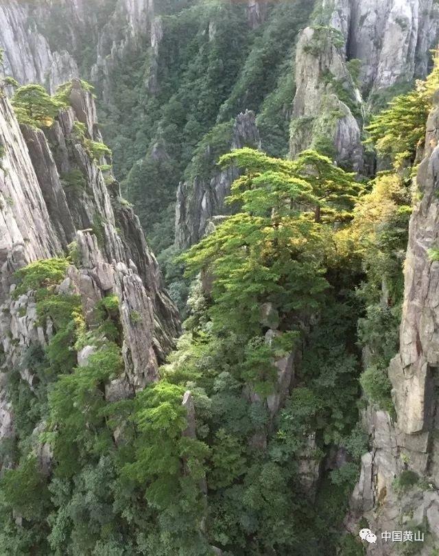 公路坦克战